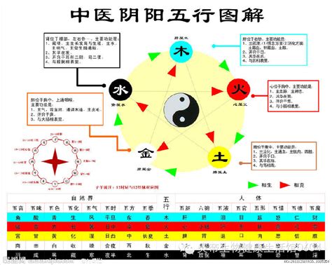 五行相生相剋